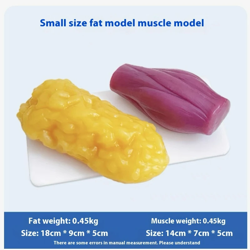 Human Muscle and Fat Replicas  - Nutrition For Health Fitness & Sport Melvin Williams ulasan dan harga